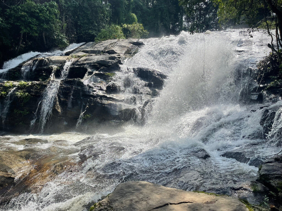 Living Green Elephant Sanctuary-清迈必去景点