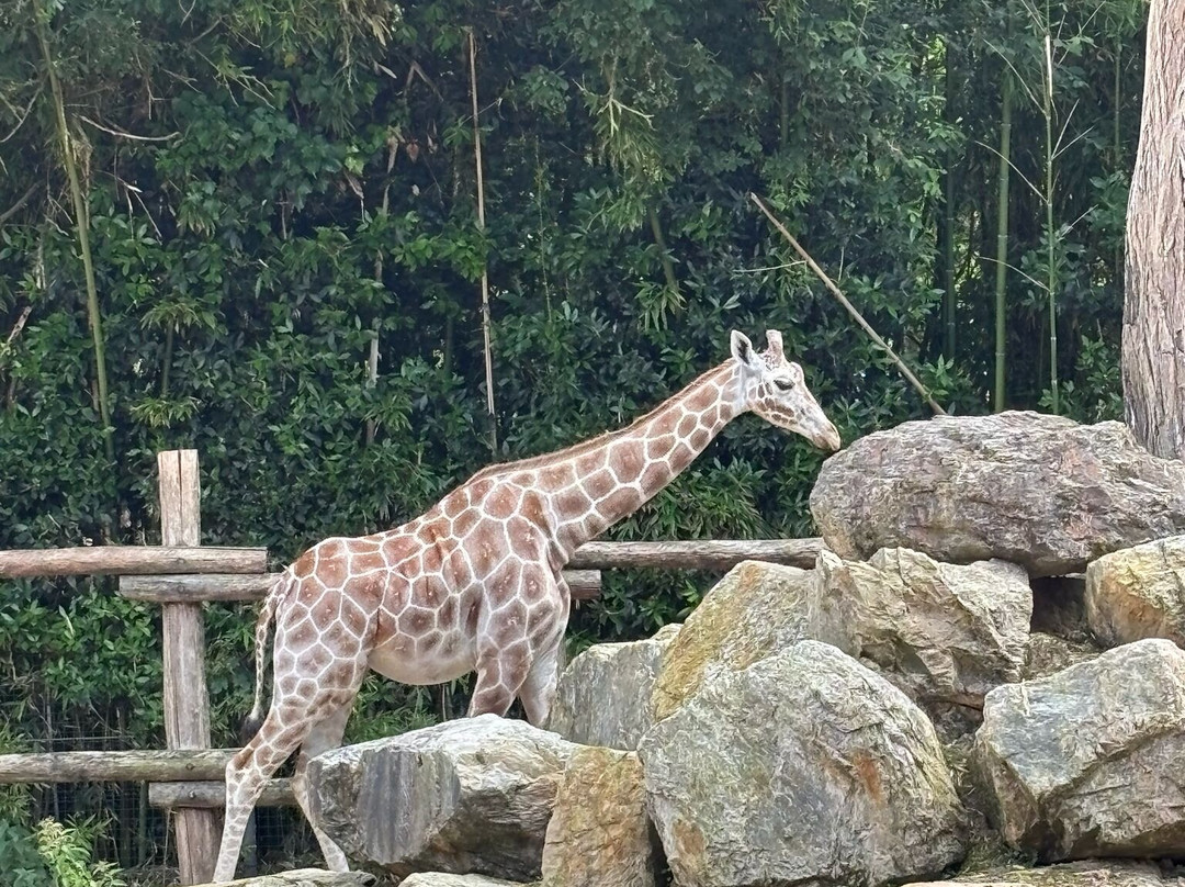 Zoo des Sables-莱萨布勒多洛讷必去景点