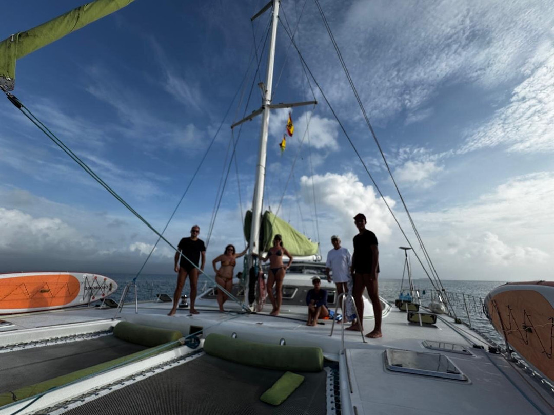 Flying Ginny Catamaran Charter-埃尔波韦尼尔必去景点