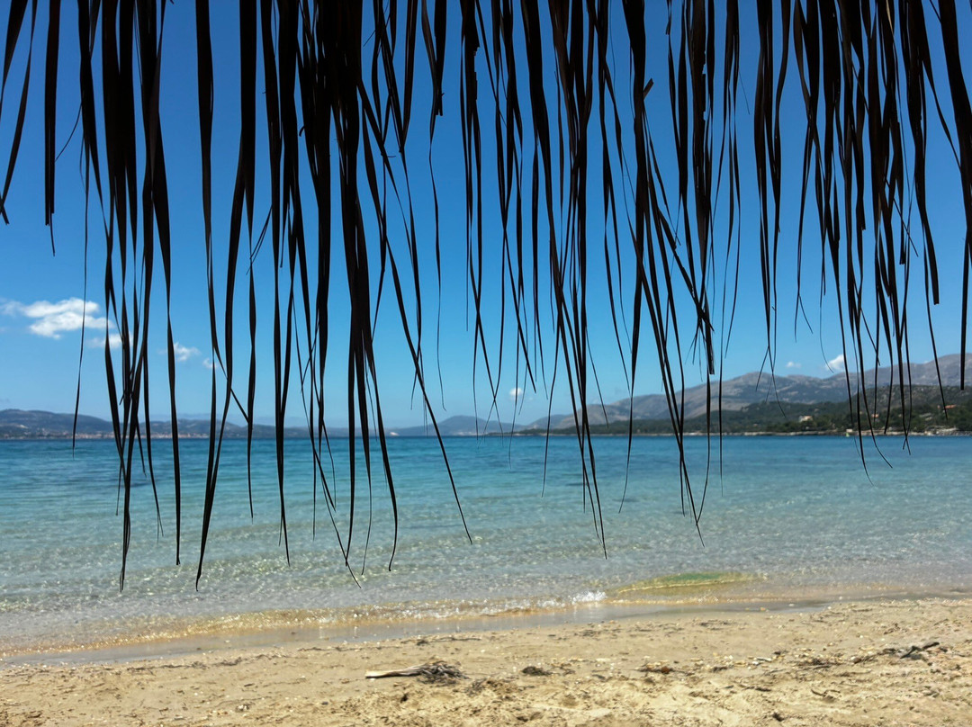 Paliostafida Beach-Lassi必去景点