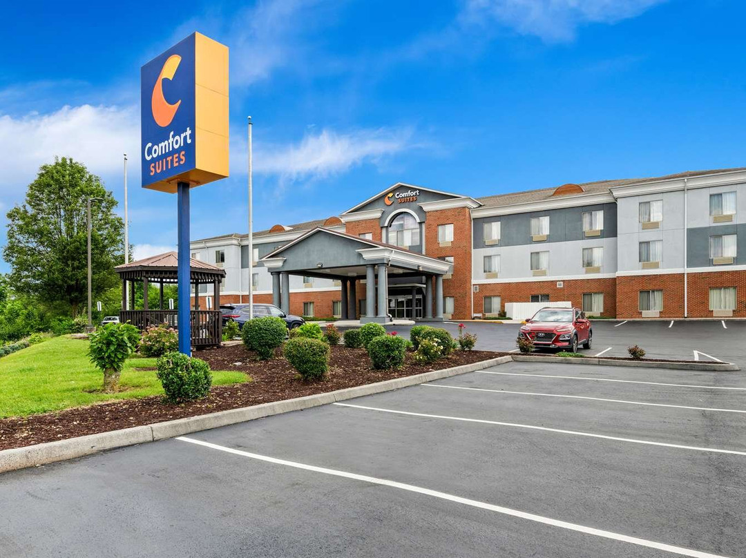 Abingdon酒店住宿-Comfort Suites
