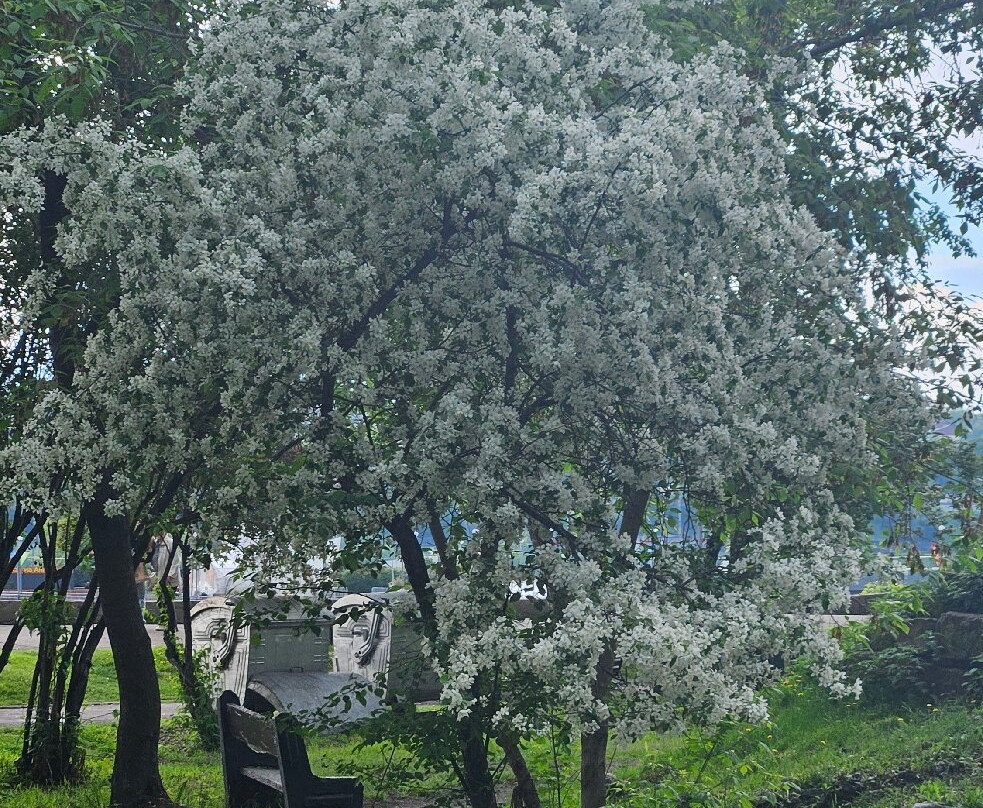 Monument to Alexander III-伊尔库茨克必去景点