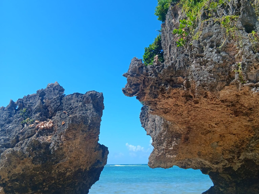 Bravo Zanzibar Travel-桑给巴尔市必去景点