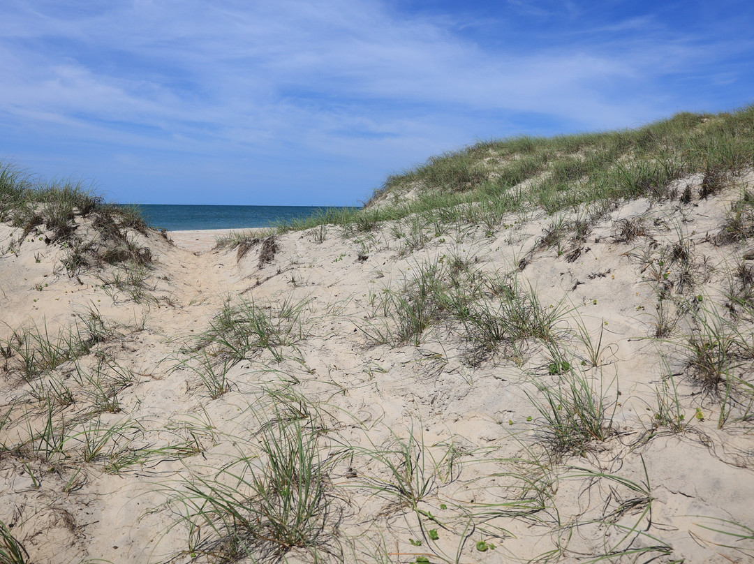 Shackleford Banks-Harkers Island必去景点