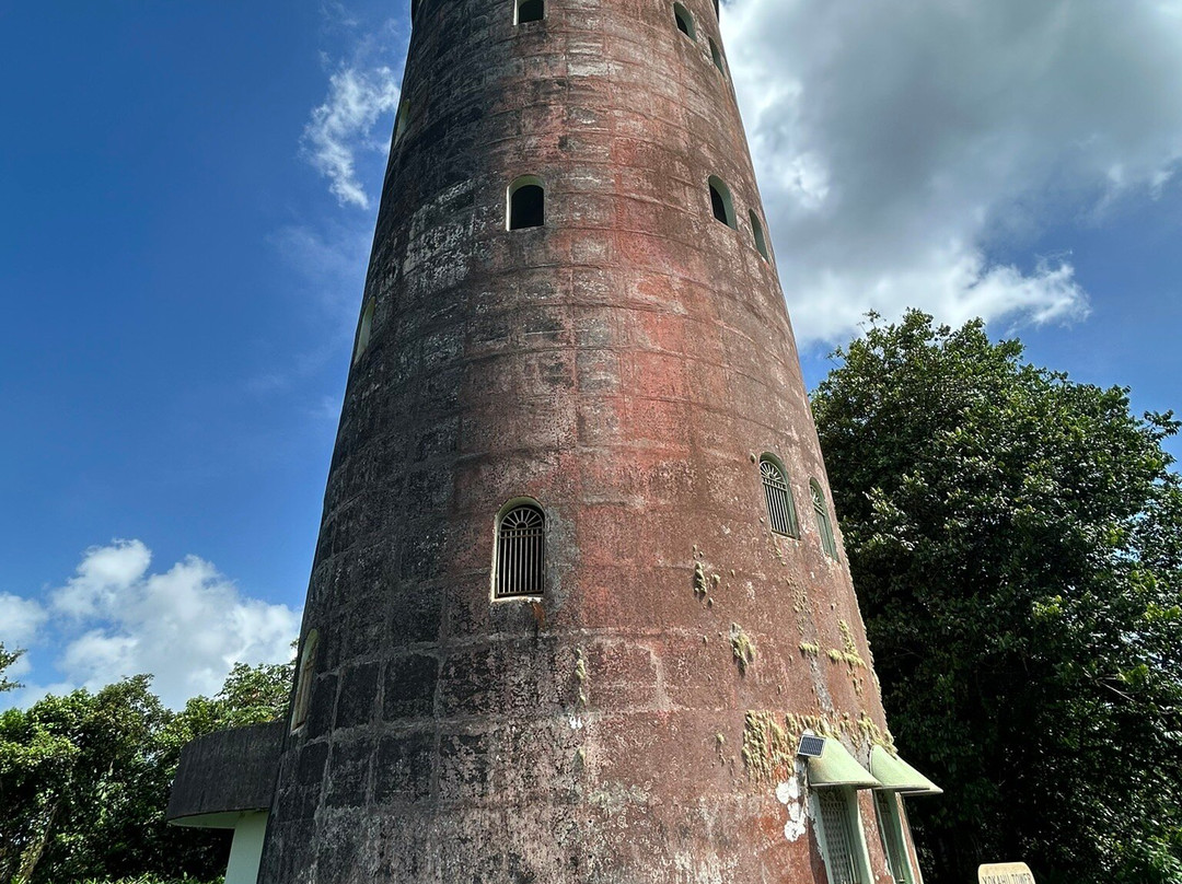 El Yunque National Forest-云盖国家森林公园必去景点