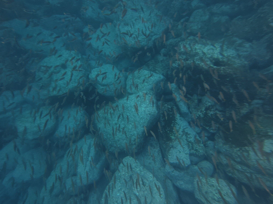 Woebegone Freedive-赫斯基森必去景点