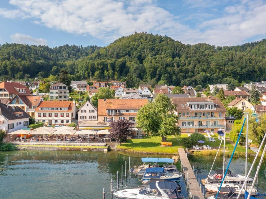 Hotel Pension Café Hasler