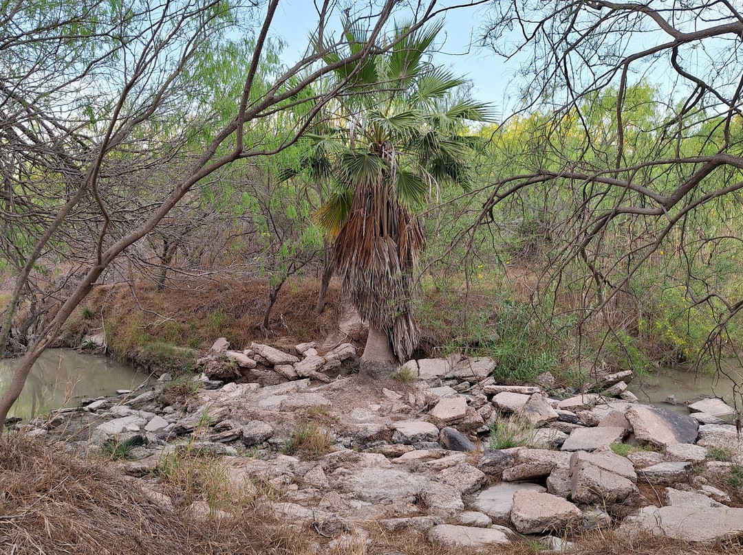 Hugh Ramsey Nature Park-Harlingen必去景点