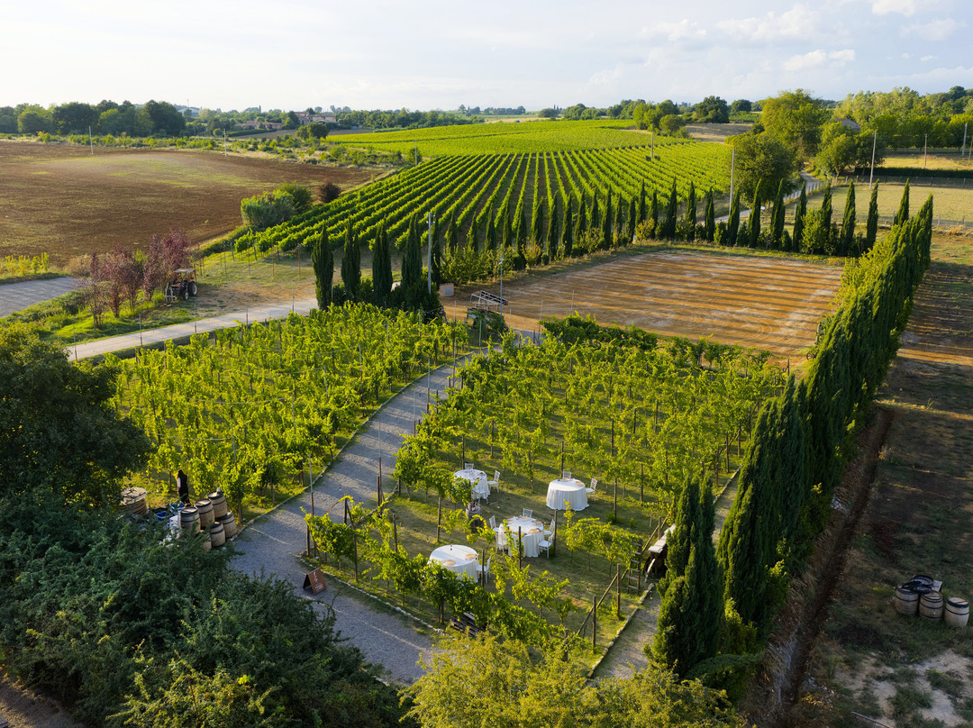 Agricola Poggio Ai Laghi-蒙特里久尼必去景点