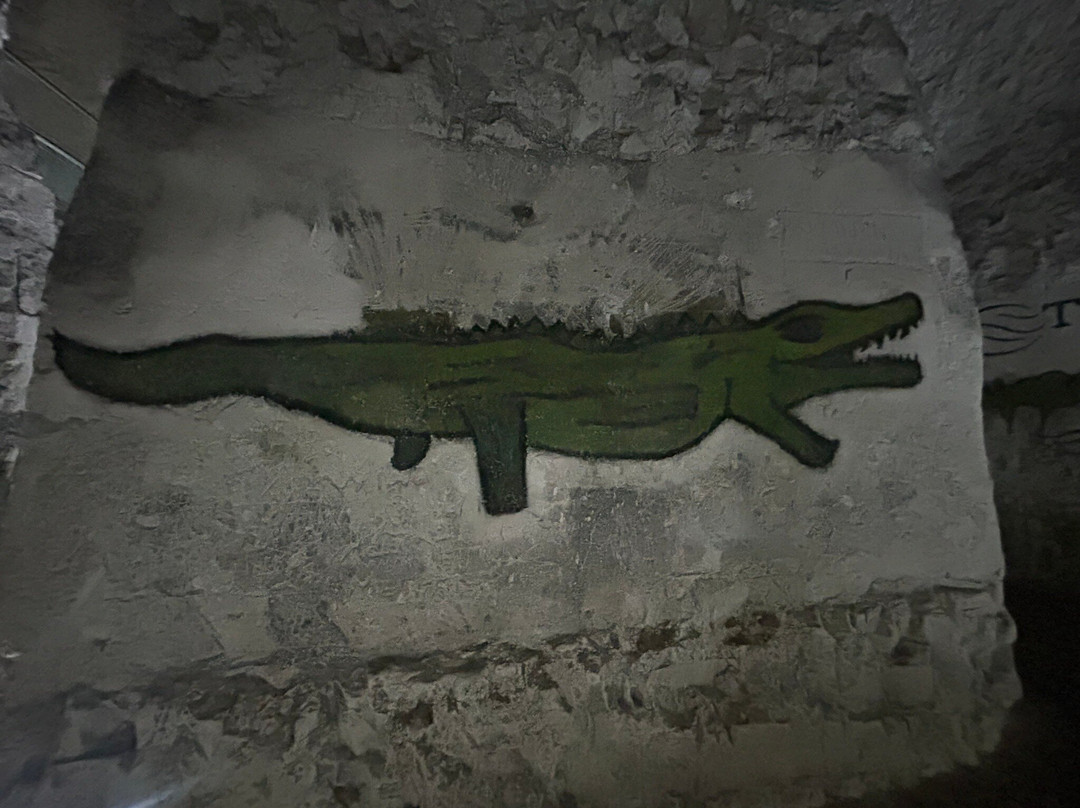 Margate Caves-Margate必去景点