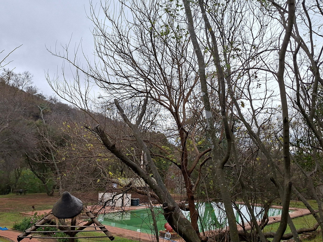 犀鸟旅馆主图