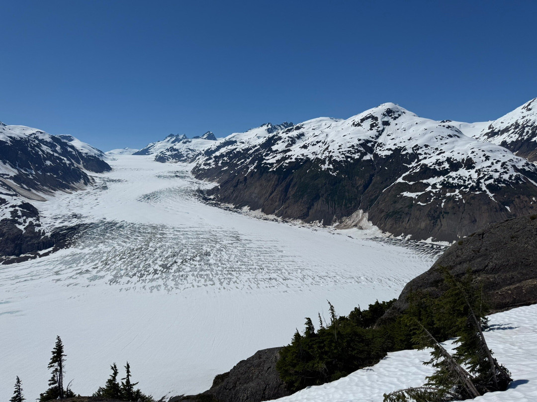 Whitecap to Icecap Adventures-Stewart必去景点