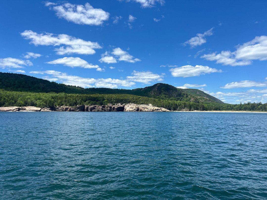 Acadian Boat Tours-巴港必去景点