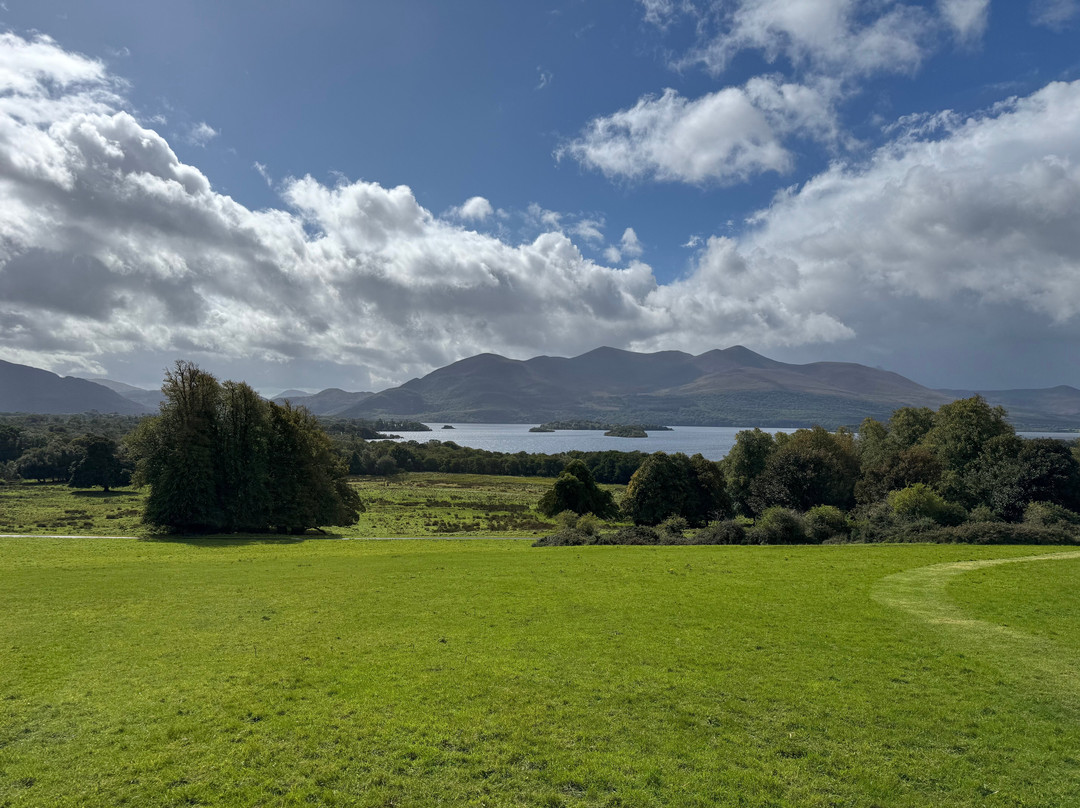 Killarney Riding Stables-基拉尼必去景点