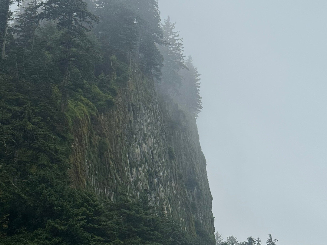Tow Hill Provincial Park-Masset必去景点
