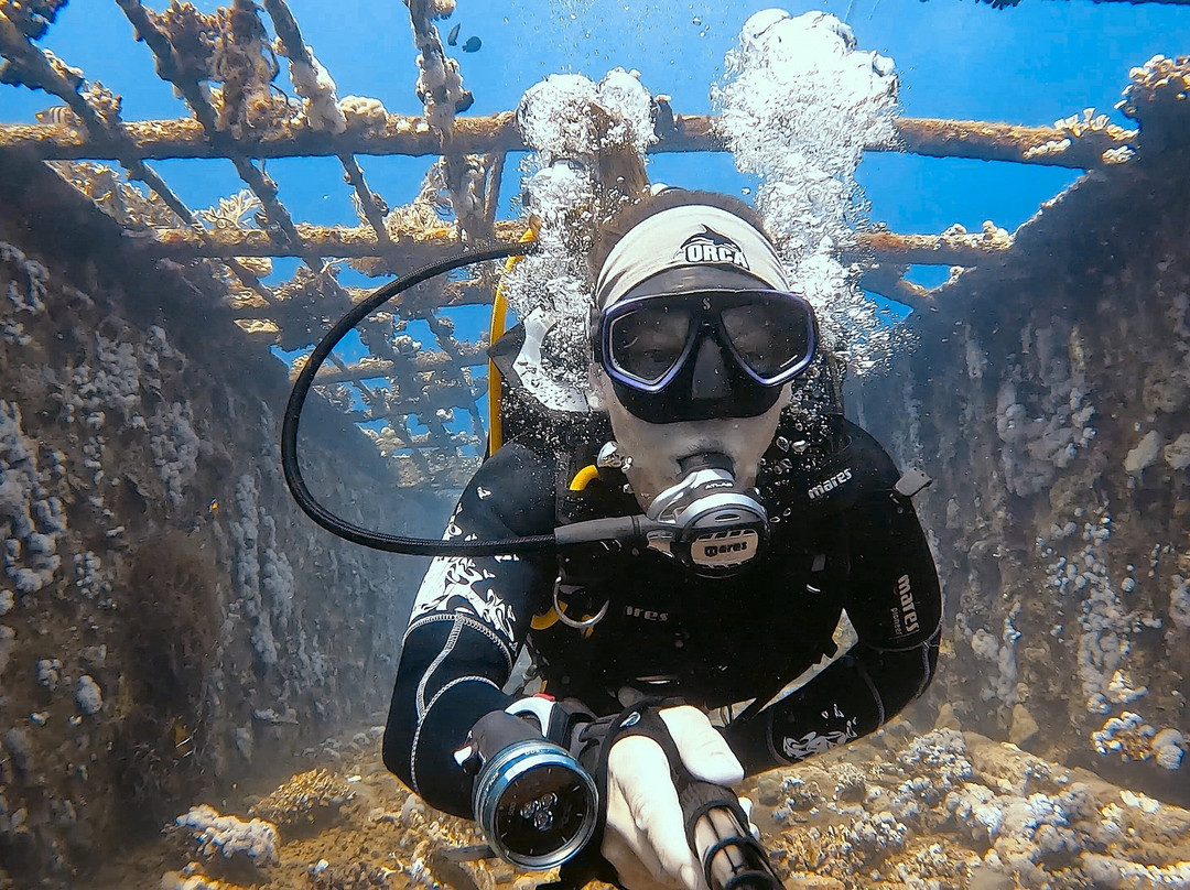 Orca Dive Club Safaga-Safaga必去景点