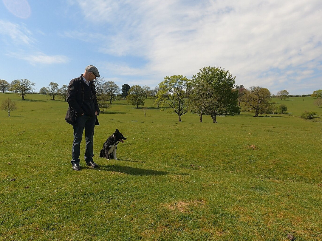 Nij Vyas Sheepdog Experience-East Norton必去景点