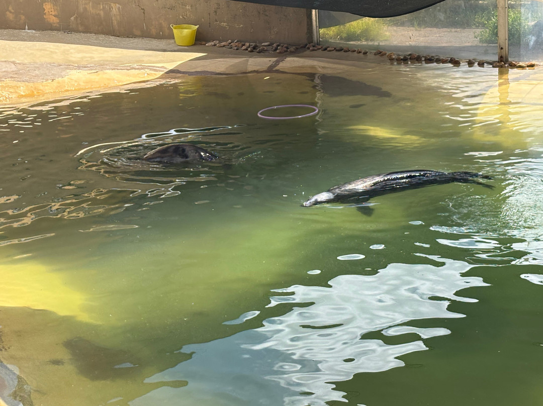 Cornish Seal Sanctuary-Gweek必去景点