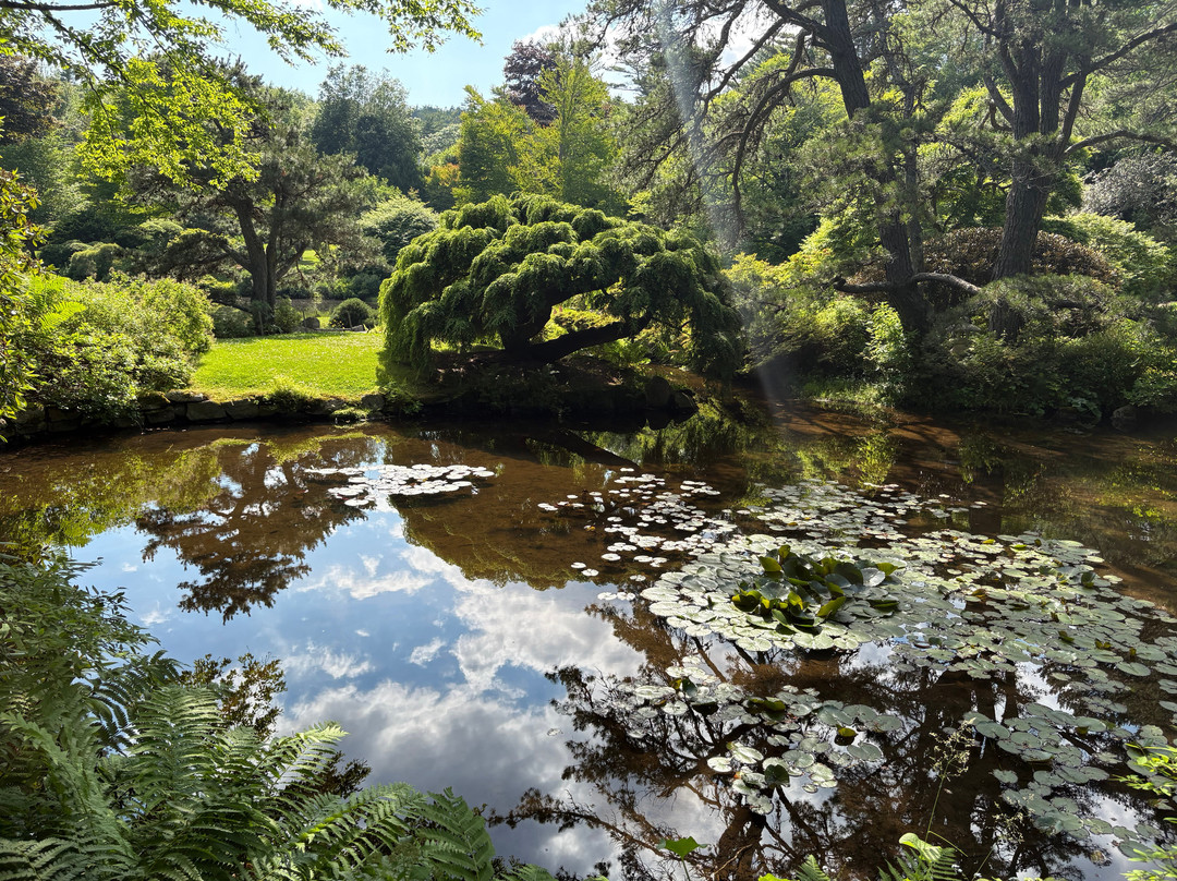 Asticou Azalea Garden-Northeast Harbor必去景点