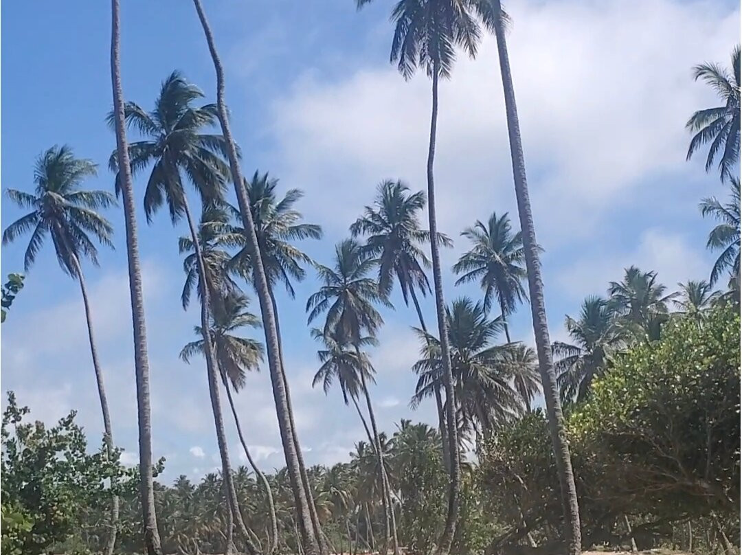 Playa La Entrada-Cabrera必去景点