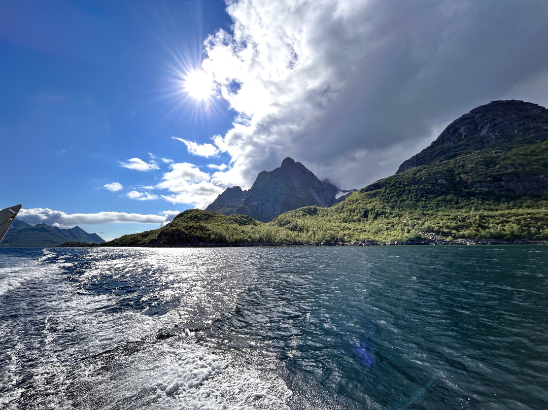 Go2Lofoten-斯沃尔韦尔必去景点