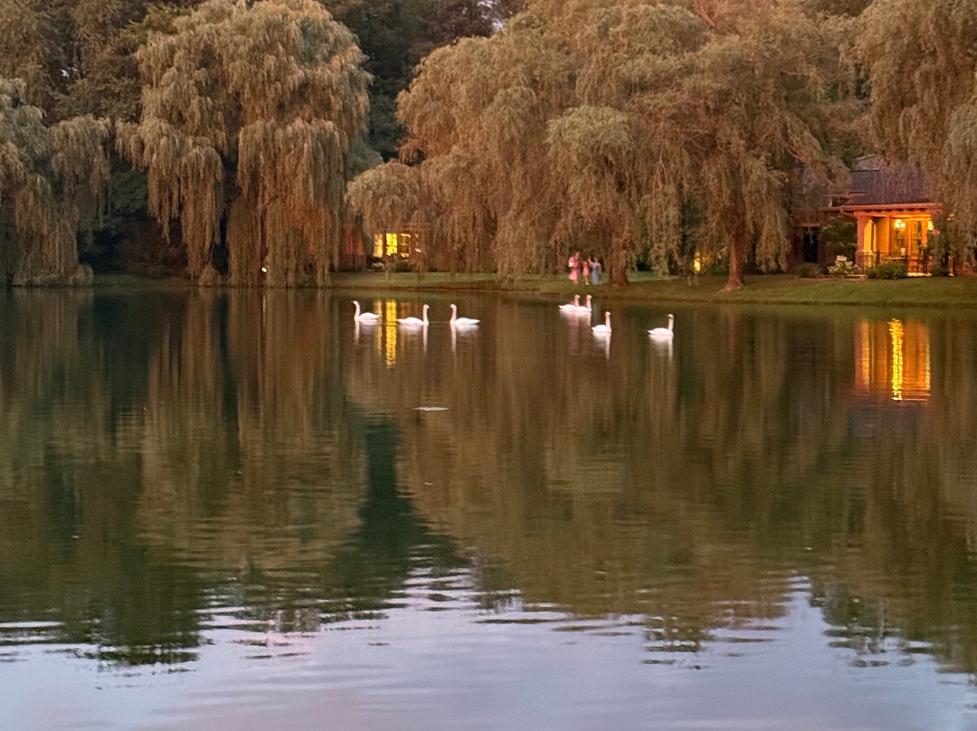 Gervasi Vineyard-坎顿必去景点
