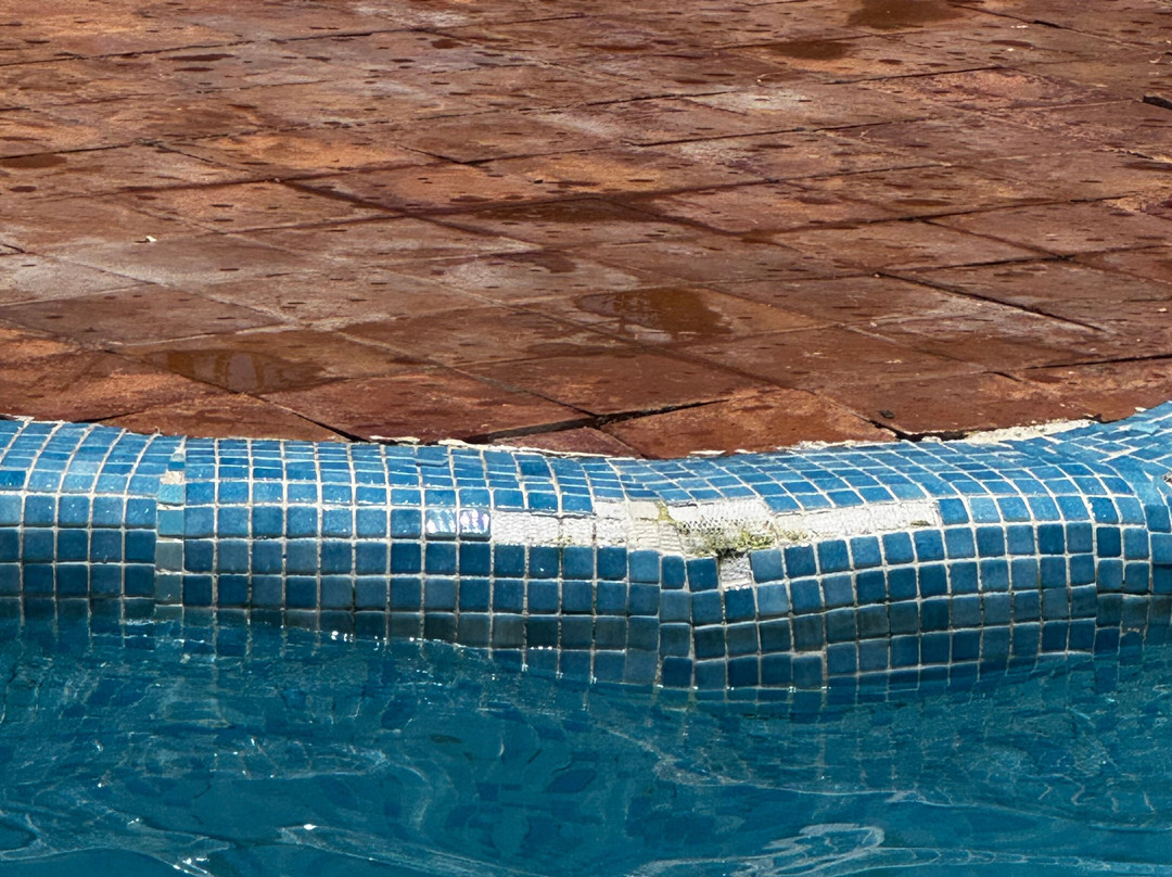 Iberostar Waves 赛伊迪亚主图