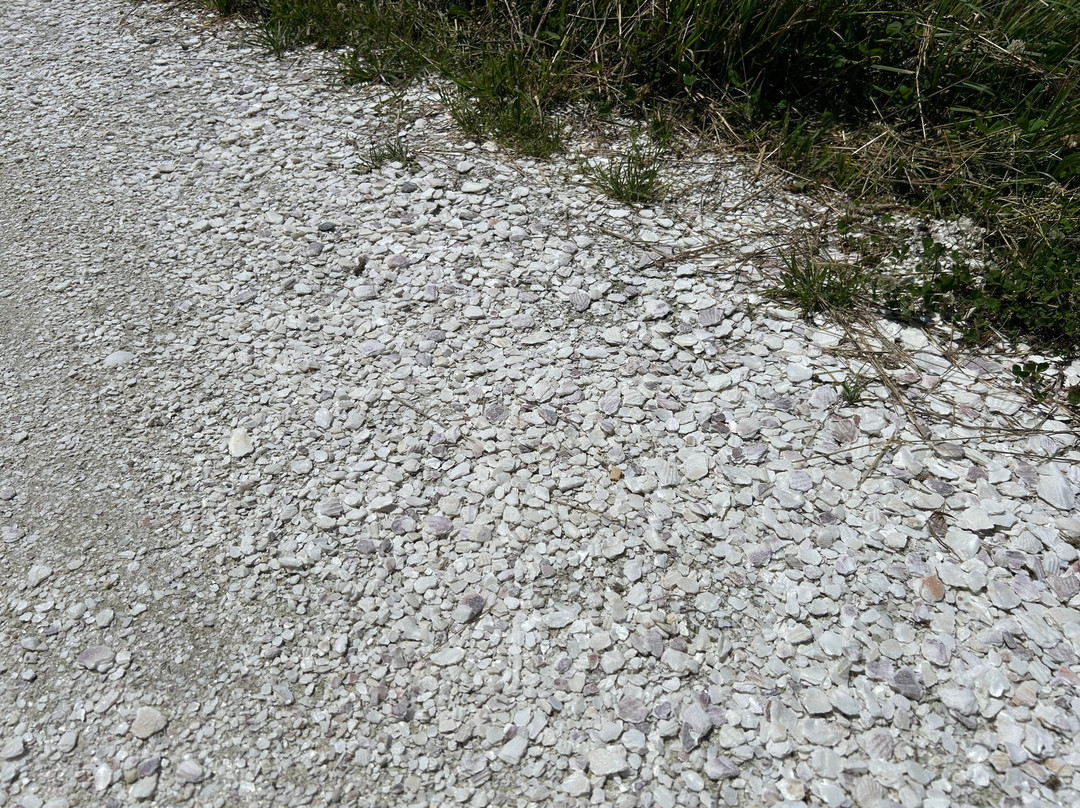 White Road-稚内市必去景点