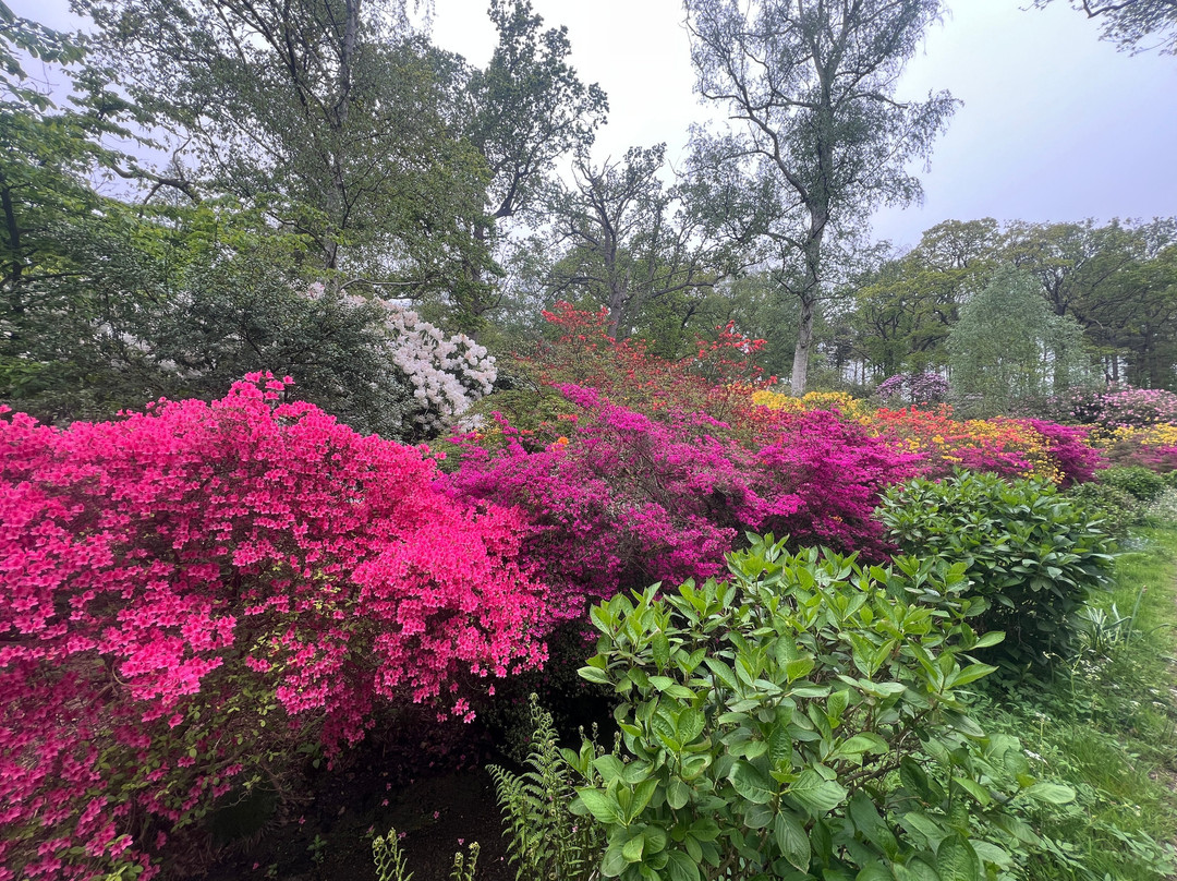 Hoveton Hall Gardens-诺威奇必去景点