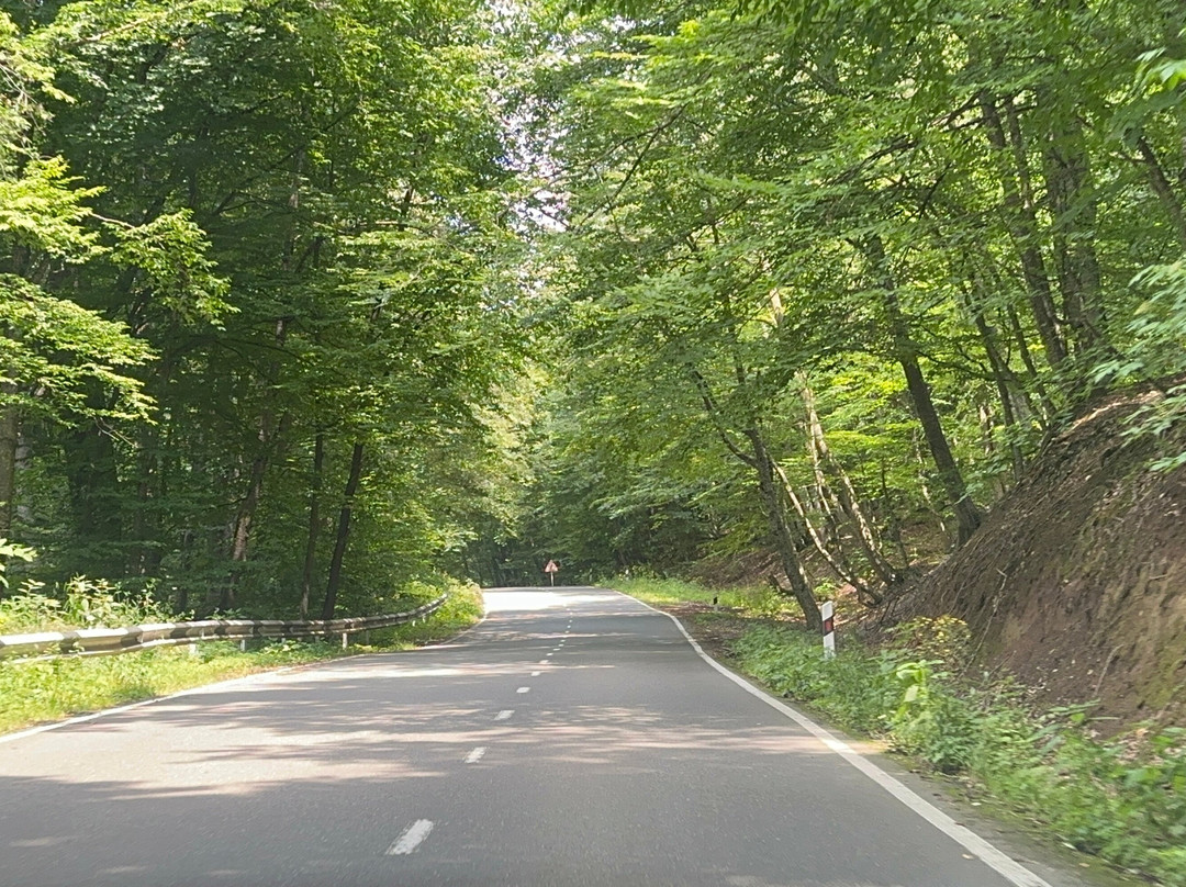 Dilijan National Park-Dilijan必去景点