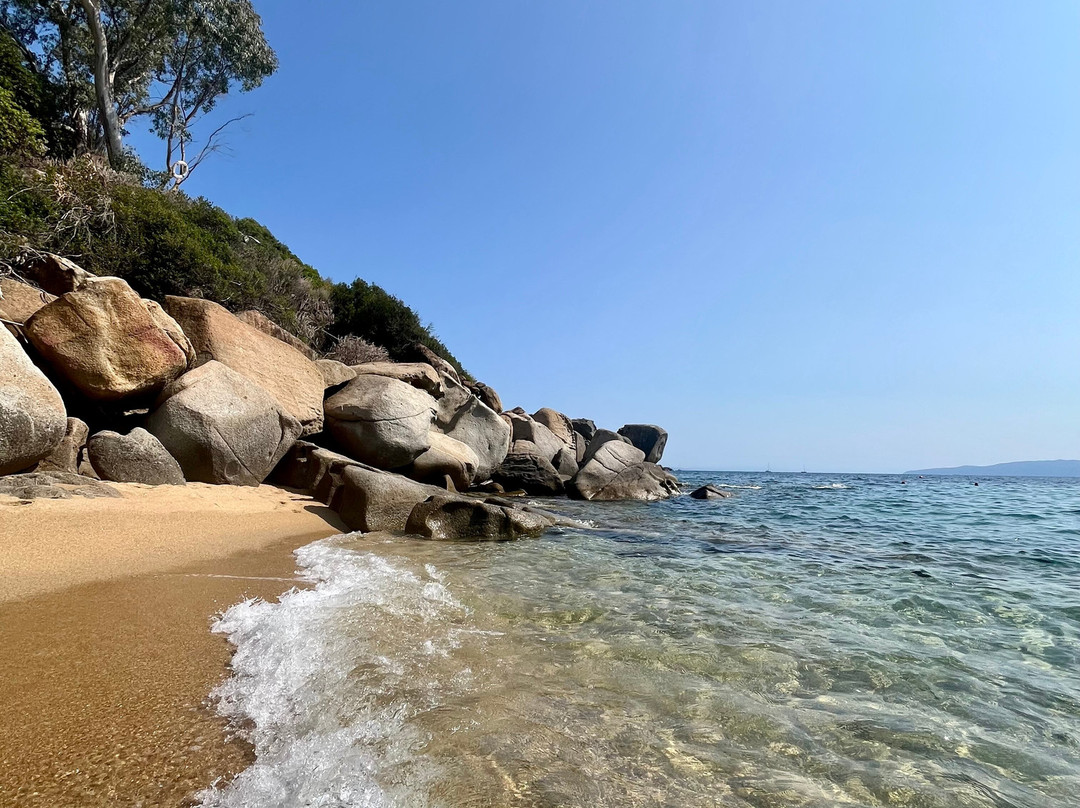 Spiaggia delle Caldane-Isola del Giglio必去景点