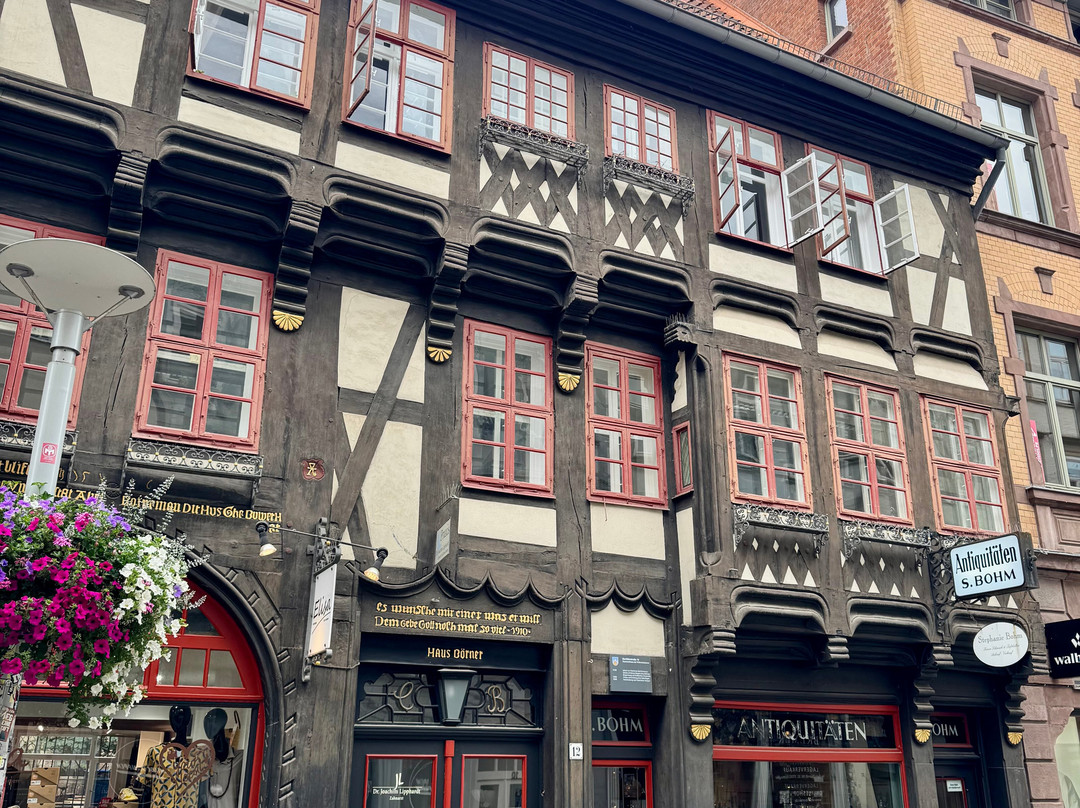 Schroder's house