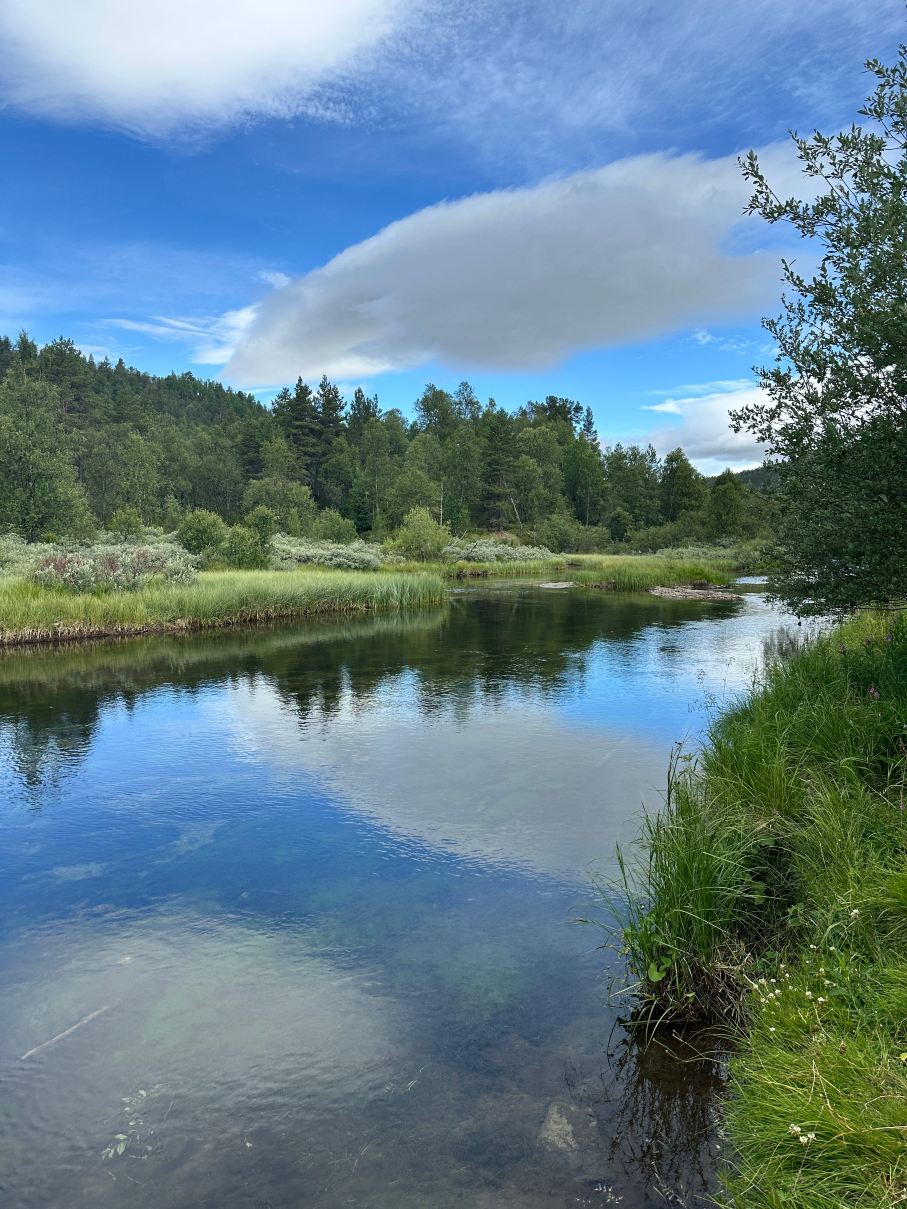 Rondane River Lodge - Rondane Gjestegård-旅行者