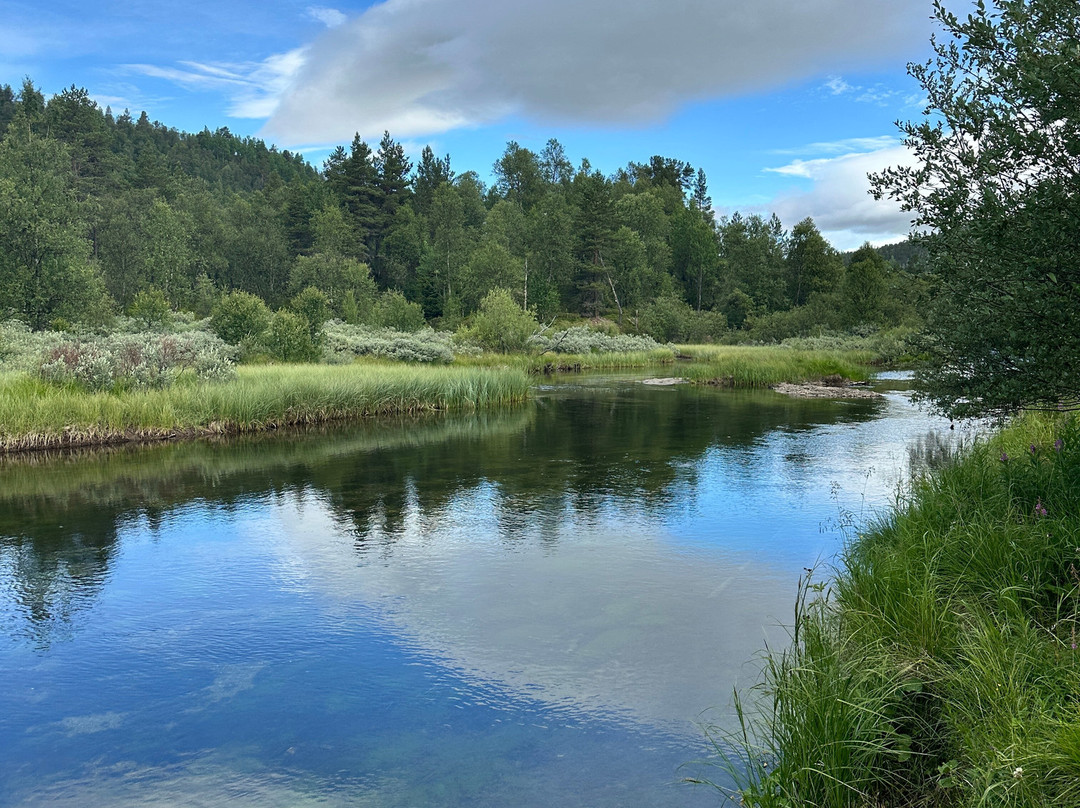 Rondane River Lodge - Rondane Gjestegård主图