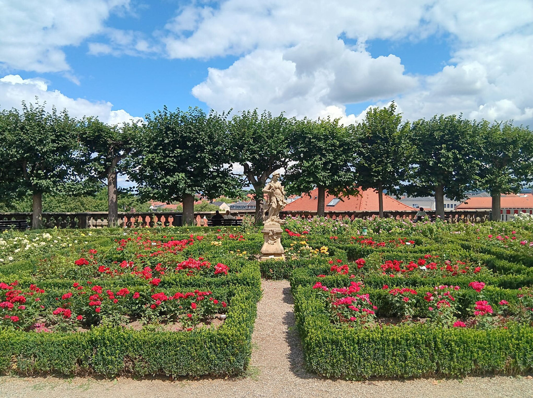 Rose garden-班贝格城必去景点