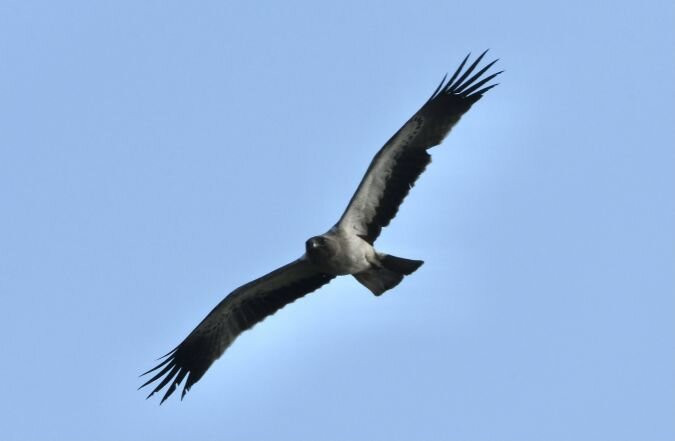 Nature Landes Pays Basque-Ondres必去景点