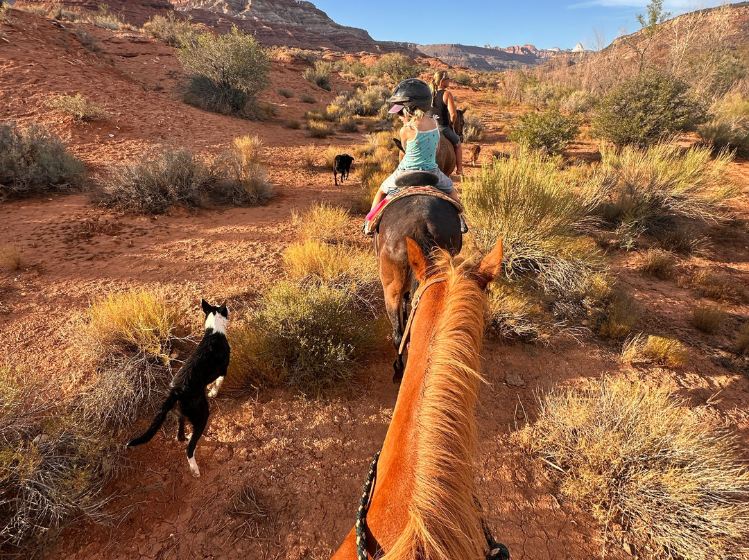 Shelleys Custom Horse Tours-Virgin必去景点