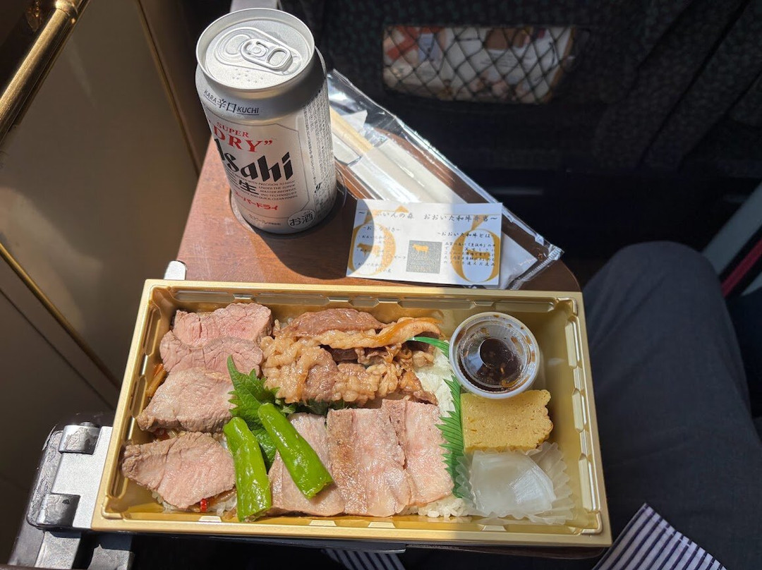 Limited Express Yufuin no Mori-Hakataekimae必去景点