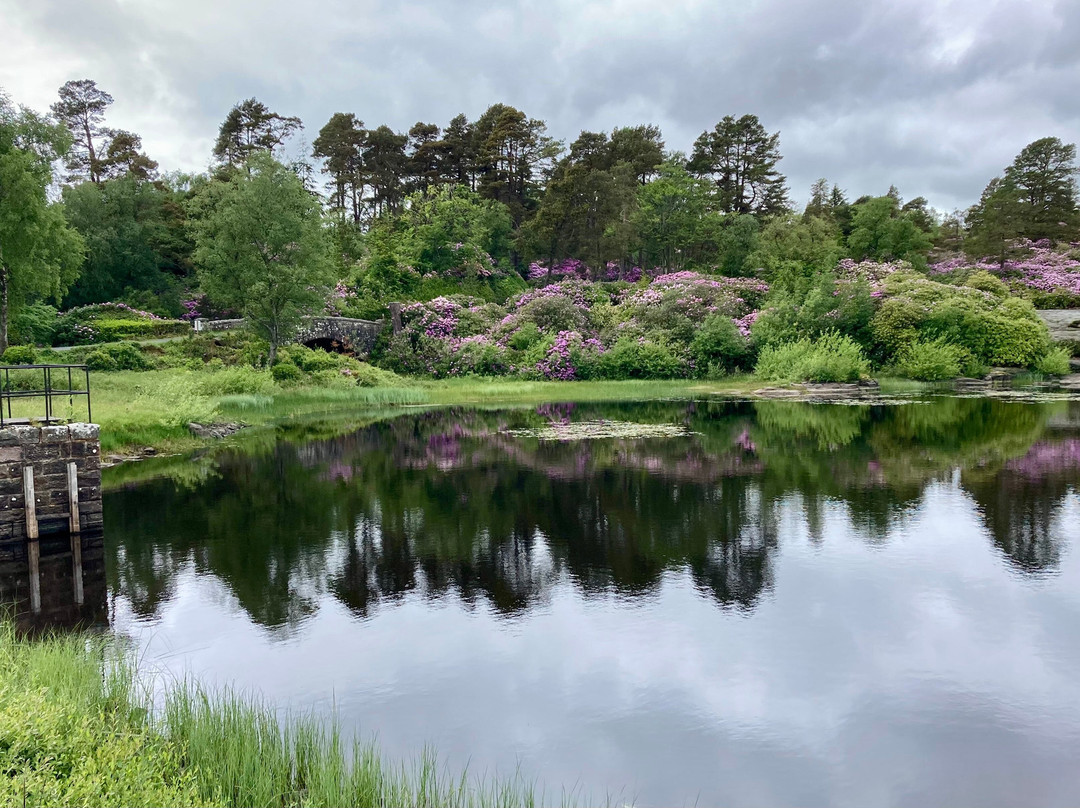 Cragside House and Gardens-Rothbury必去景点