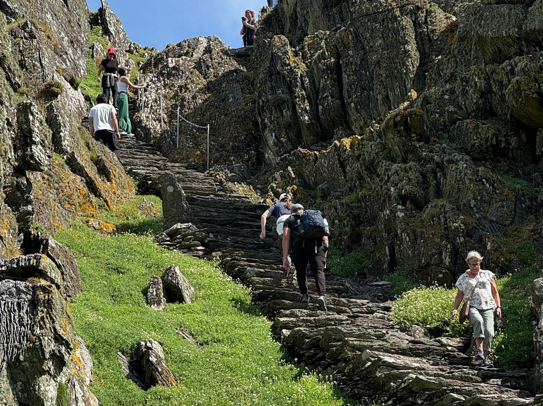 Skellig Falcon-Ballinskelligs必去景点