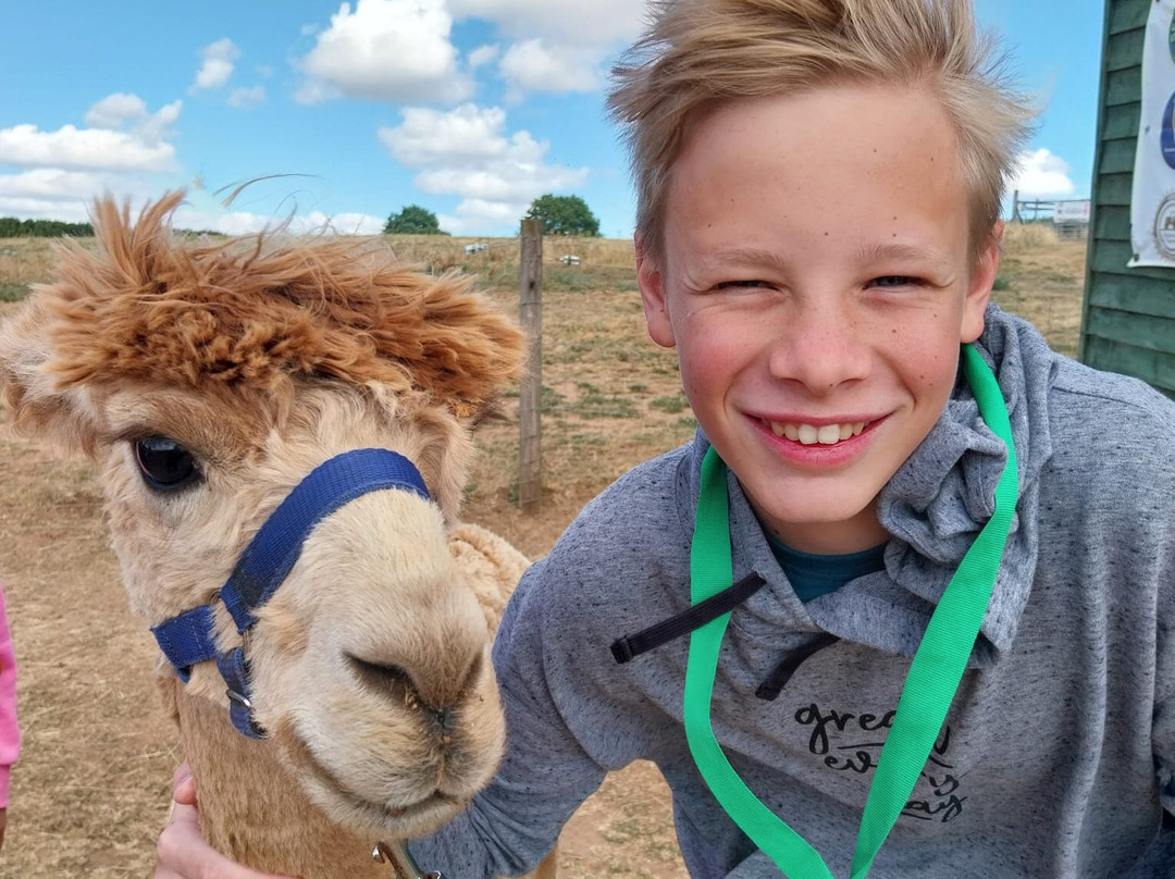 Severn Valley Alpacas-Bridgnorth必去景点