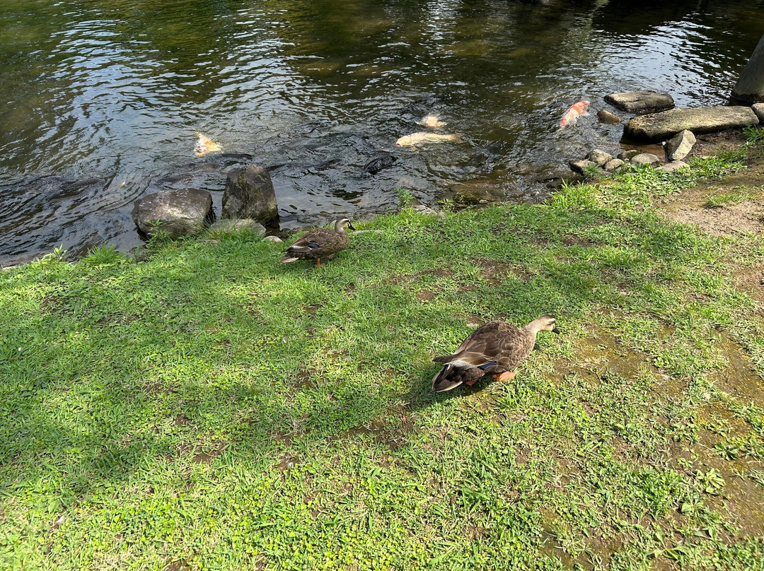Oyakuen Garden-会津若松市必去景点