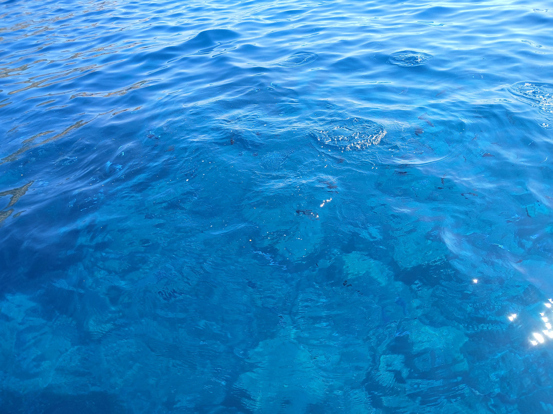 Blue Shark Noleggio Barche-Campese必去景点