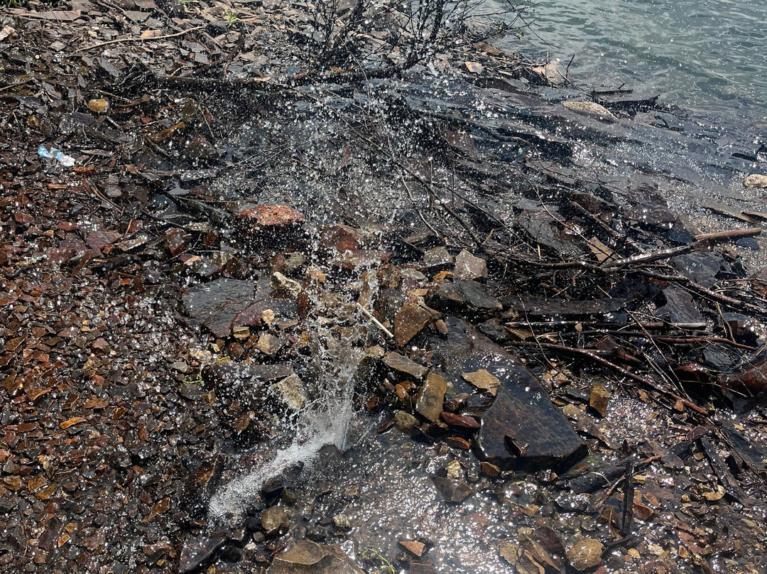Scranton Lake Walking Path-斯克兰顿必去景点
