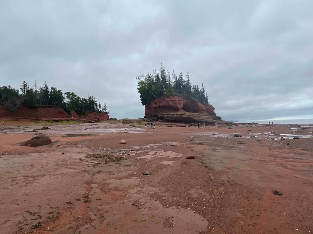 Burntcoat Head Park-Noel必去景点