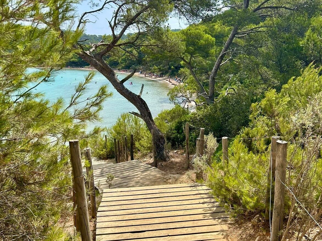 Plage Notre Dame-Notre-Dame必去景点