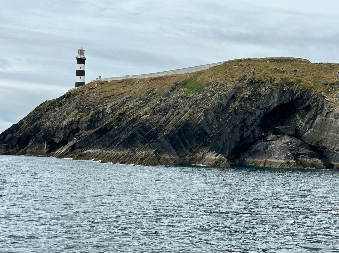 Atlantic Whale and Wildlife Tours-Courtmacsherry必去景点