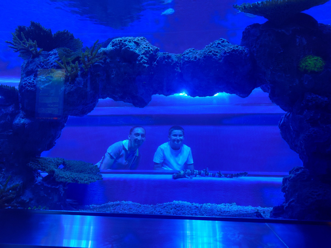 Marassi Aquarium & Underwater Zoo-Diyar Al Muharraq必去景点
