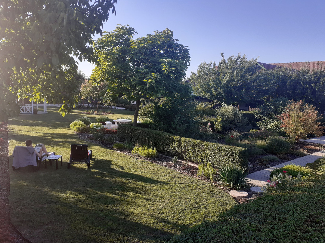 Tisza Lodge B&B - Panzio主图