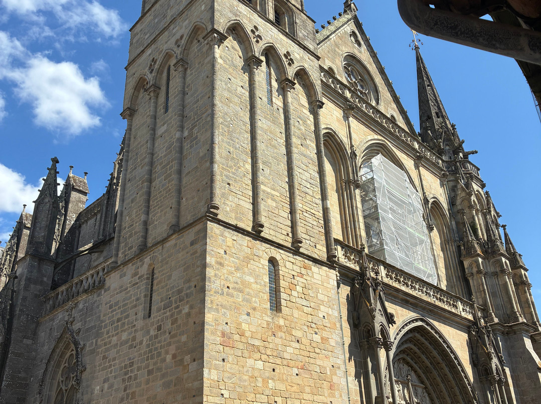 Cathedrale Saint Pierre-瓦讷必去景点